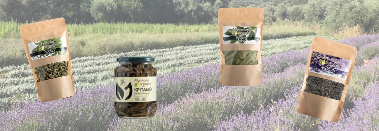 Organic herbs from Chios